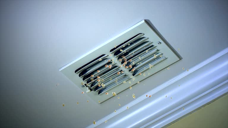 Best Affordable Duct Cleaning Services  in White House Station, NJ