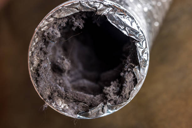Best Best Air Duct Cleaning Company  in White House Station, NJ