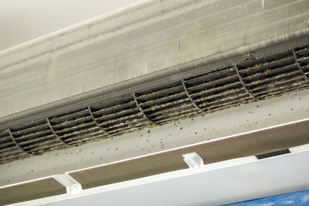 Best Commercial Air Duct Cleaning  in White House Station, NJ